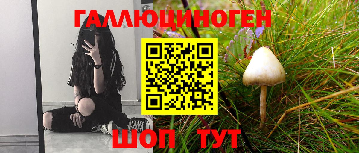 Галлюциногенные грибы мицелий Михайловск