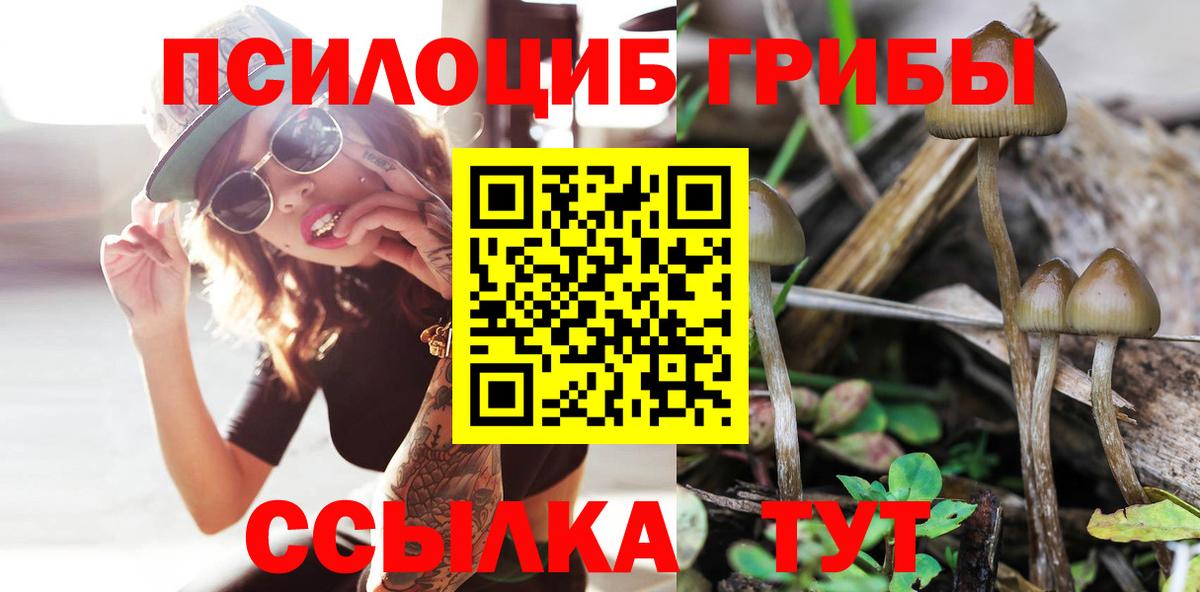 Михайловск  Псилоцибиновые грибы MAGIC MUSHROOMS  Вход с VPN  Псилоцибиновые грибы GOLDEN TEACHER 
